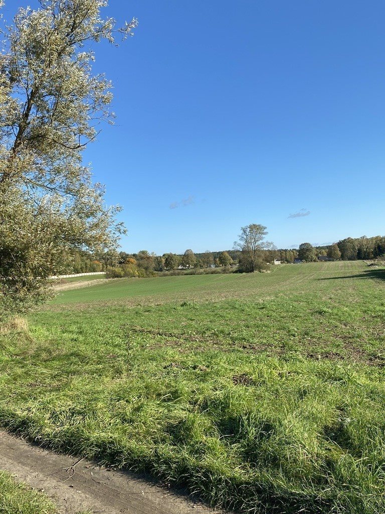 Działka rolna 3000m² w Rzęskowie – idealna pod inwestycję Rzęskowo  3 015m2 Foto 1