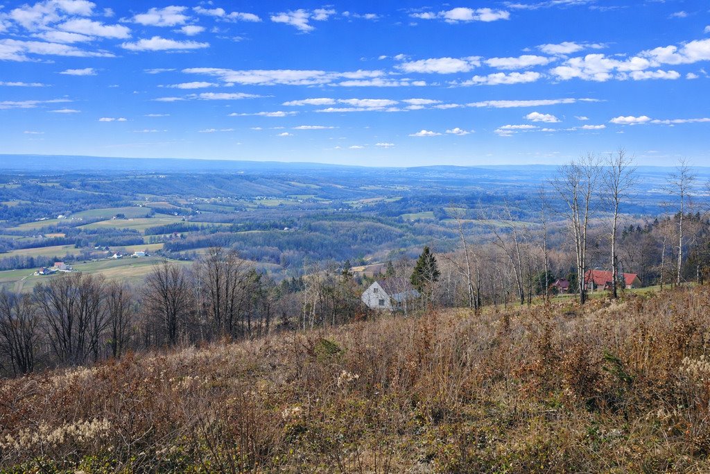 Działka rolna 1,85 ha z możliwością zabudowy i dostępem do mediów Wola Lubecka  18 551m2 Foto 1
