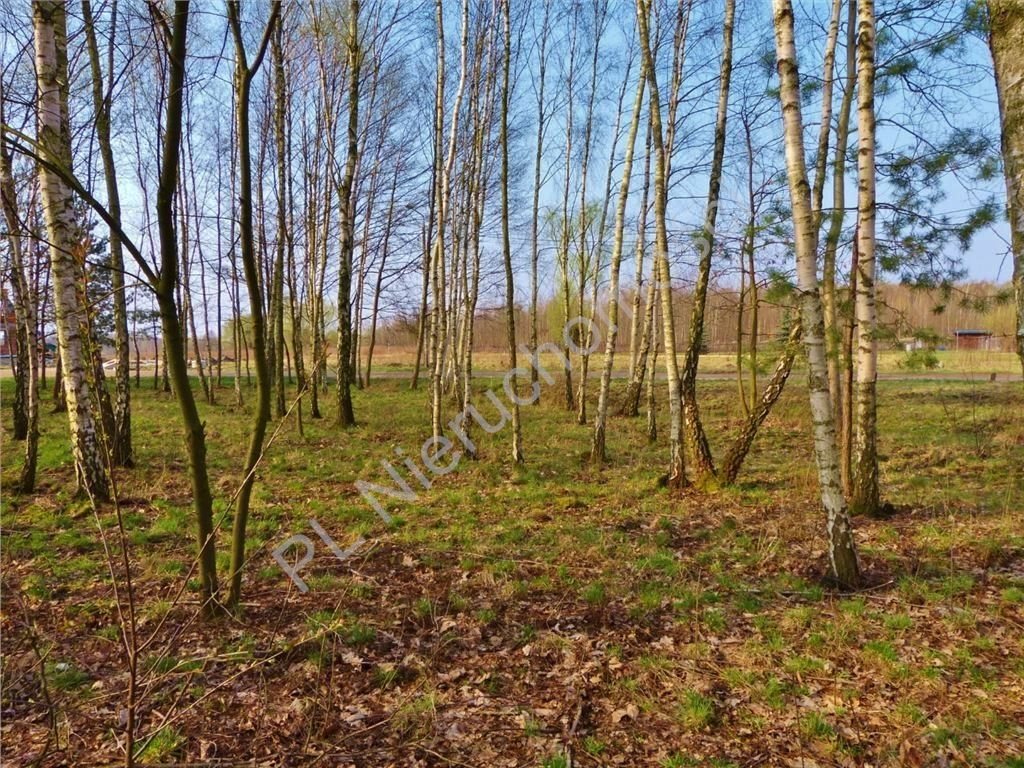 Działka budowlana na sprzedaż Otwock, Wólka Mlądzka 726m2 Foto 1 Działka budowlana na sprzedaż Otwock, Wólka Mlądzka 726m2 Foto 1