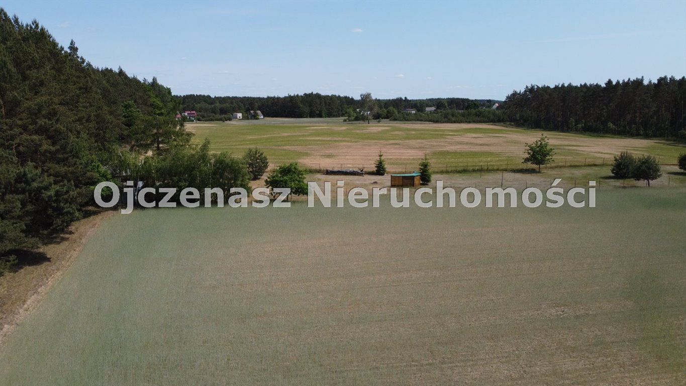 Atrakcyjna działka 4700 m² w Jędrzejewie – cisza i las Jędrzejewo  4 700m2 Foto 1