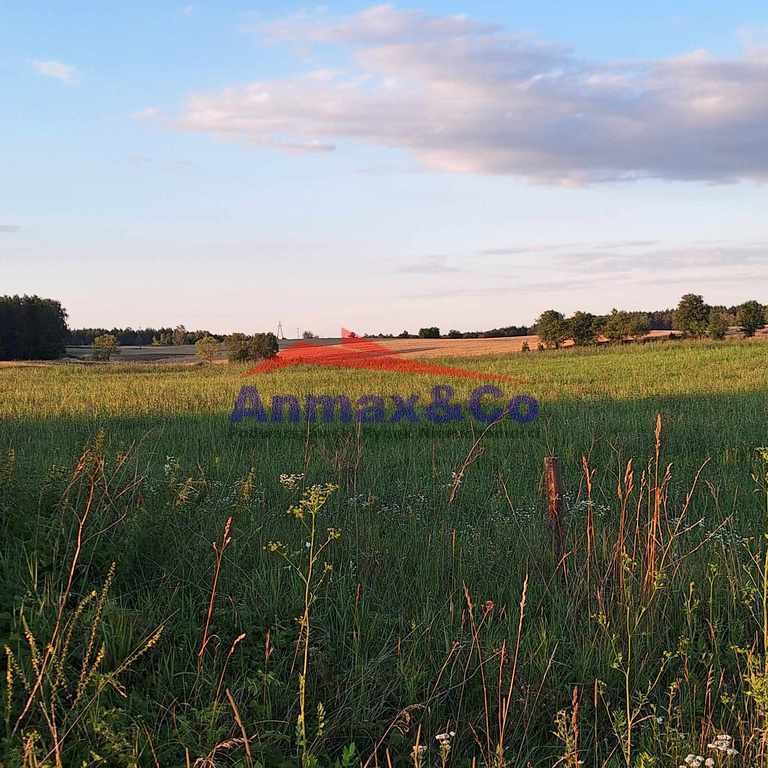 Działka budowlana na sprzedaż Strzelniki  3 900m2 Foto 3