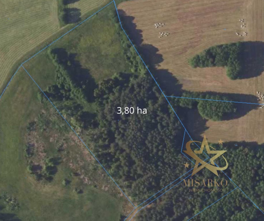 Działka rolna z lasem i rzeką, 3,8 ha, Klewinowo Klewinowo  38 000m2 Foto 1
