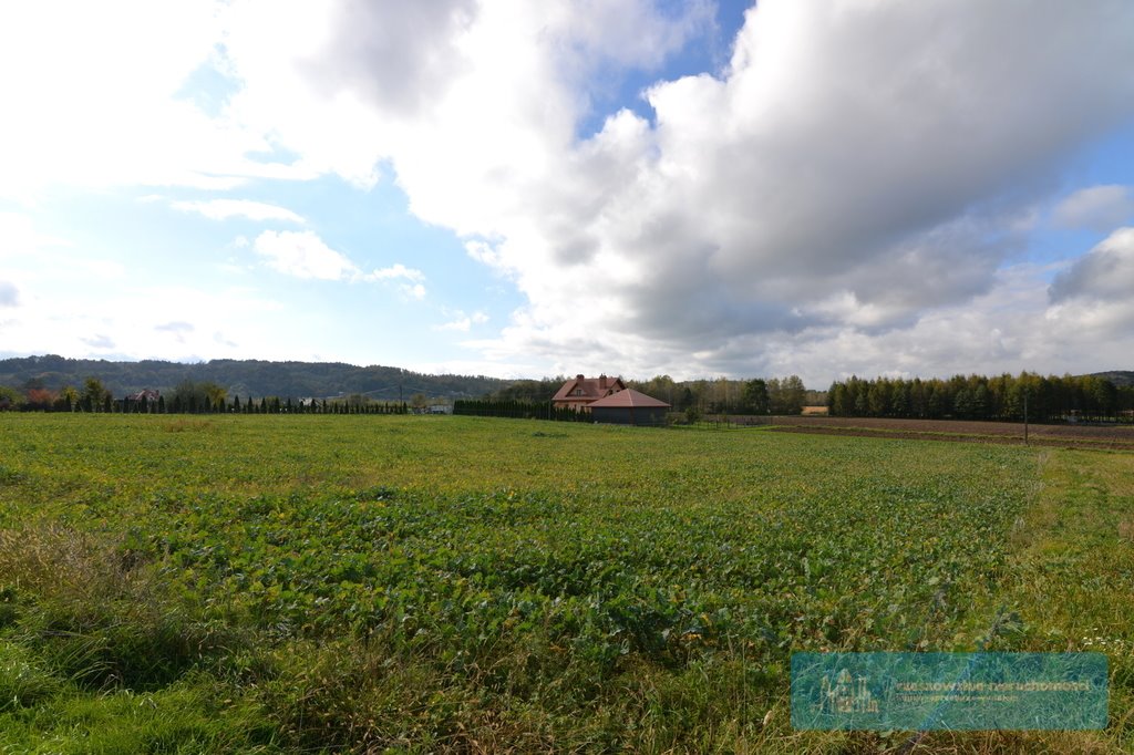 Działka rolna na sprzedaż Bachórzec  4 000m2 Foto 2