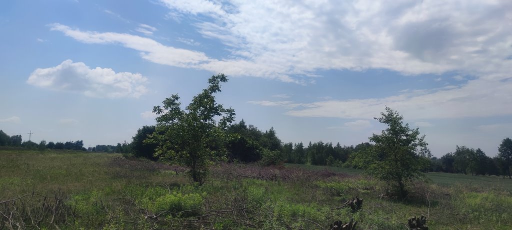 Działka budowlana na sprzedaż Borzęcin Mały  1 000m2 Foto 5