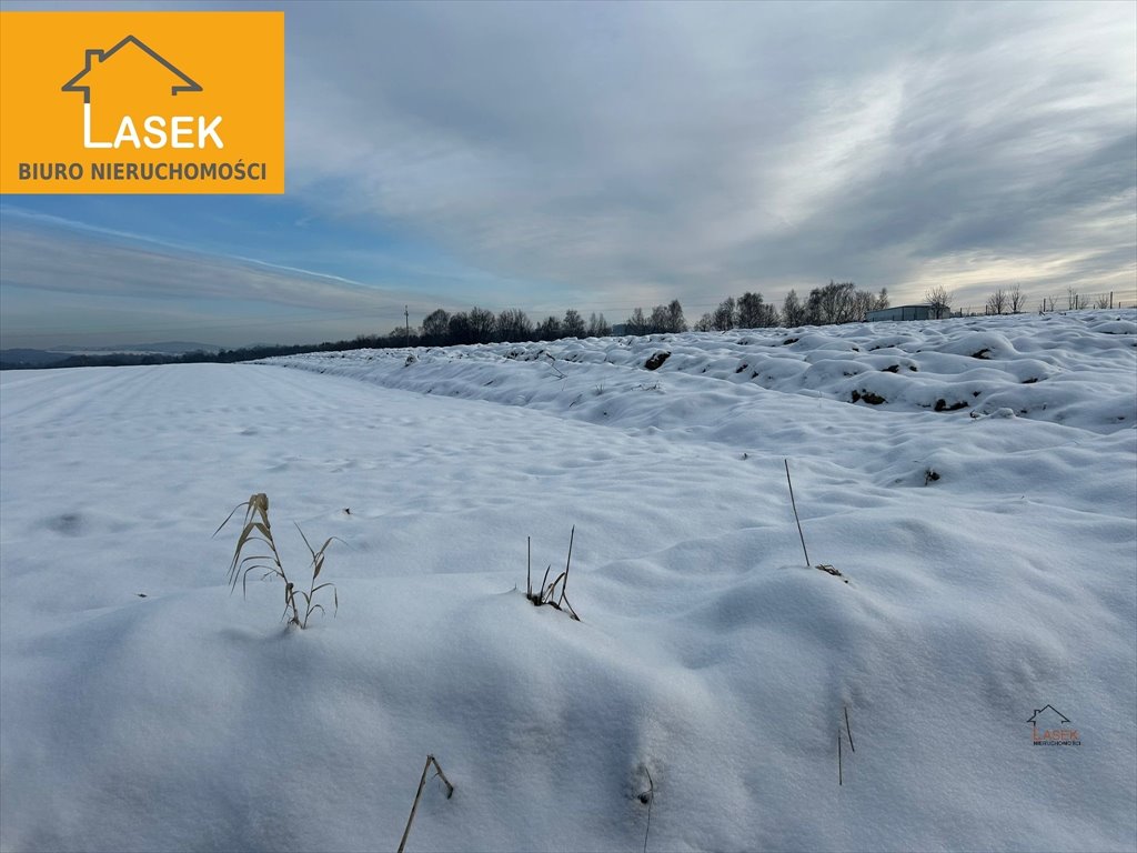 Działka 3,1ha z mediami (prąd, gaz) przy asfaltowej drodze Przybradz  3 130m2 Foto 1