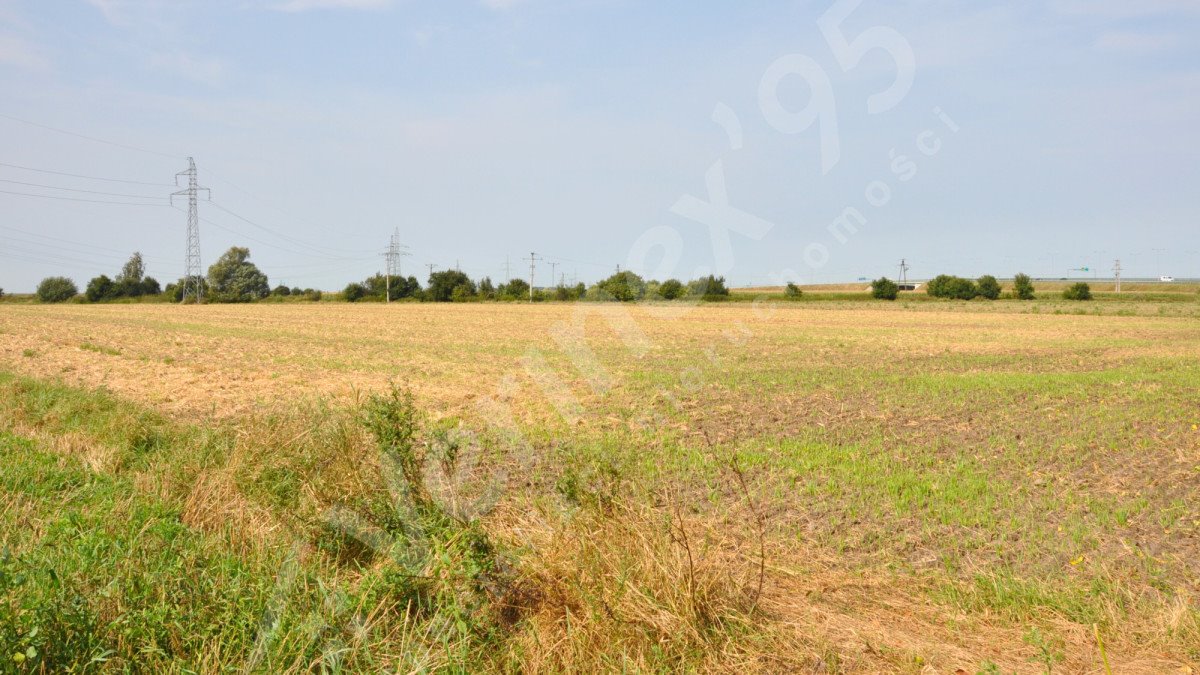 Działka rolna na sprzedaż Zamysłowo  19 027m2 Foto 1