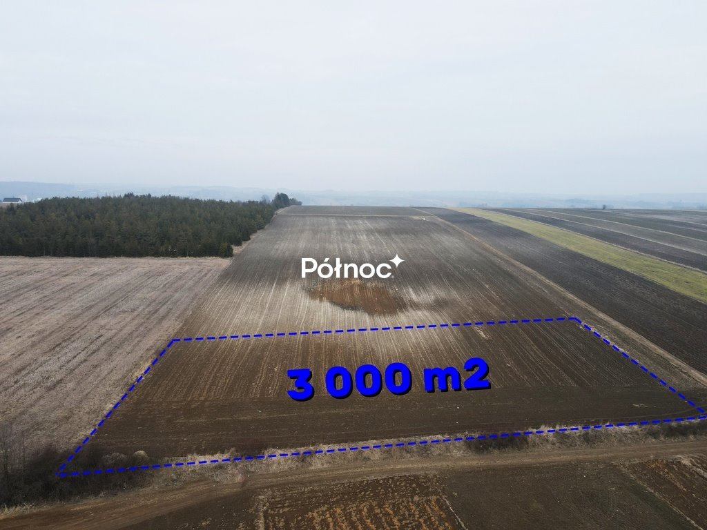Działka 3195 m² z projektem i mediami, cicha okolica Imbramowice  3 195m2 Foto 1