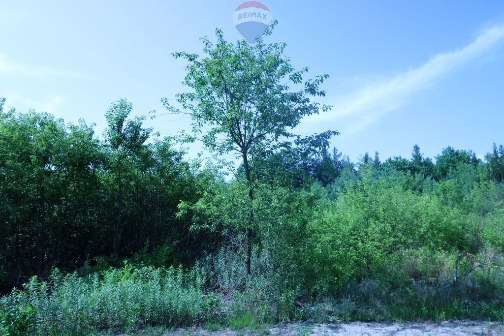 Działka budowlana na sprzedaż Podłęż  3 157m2 Foto 10