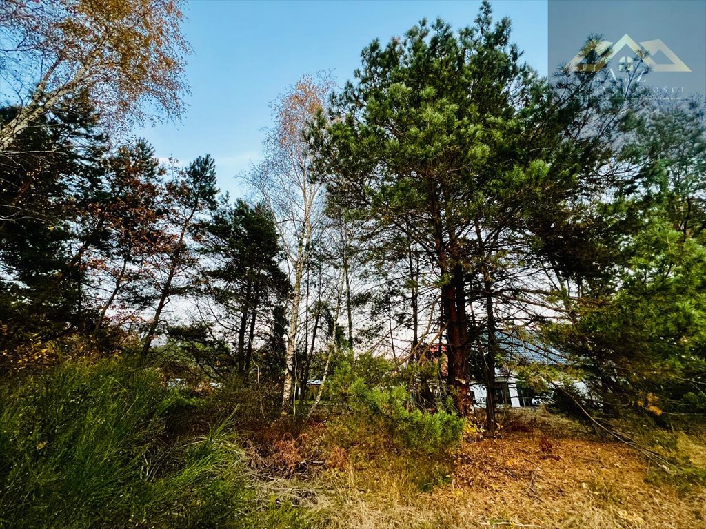 Działka budowlana na sprzedaż Perła  2 300m2 Foto 1