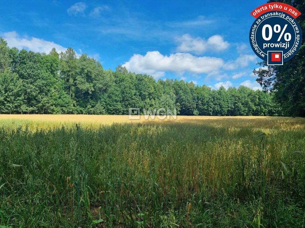 Działka budowlana na sprzedaż Kożuchy  1 030m2 Foto 9