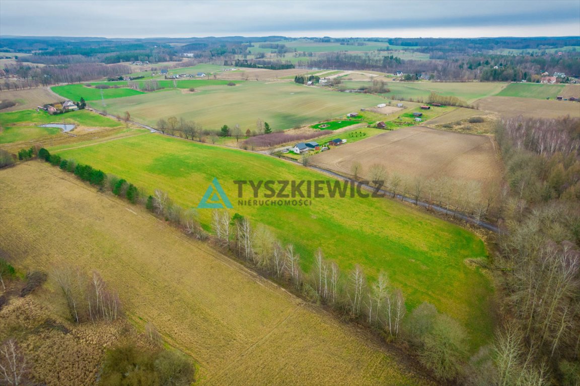 Działka rolna na sprzedaż Głodowo  28 400m2 Foto 6