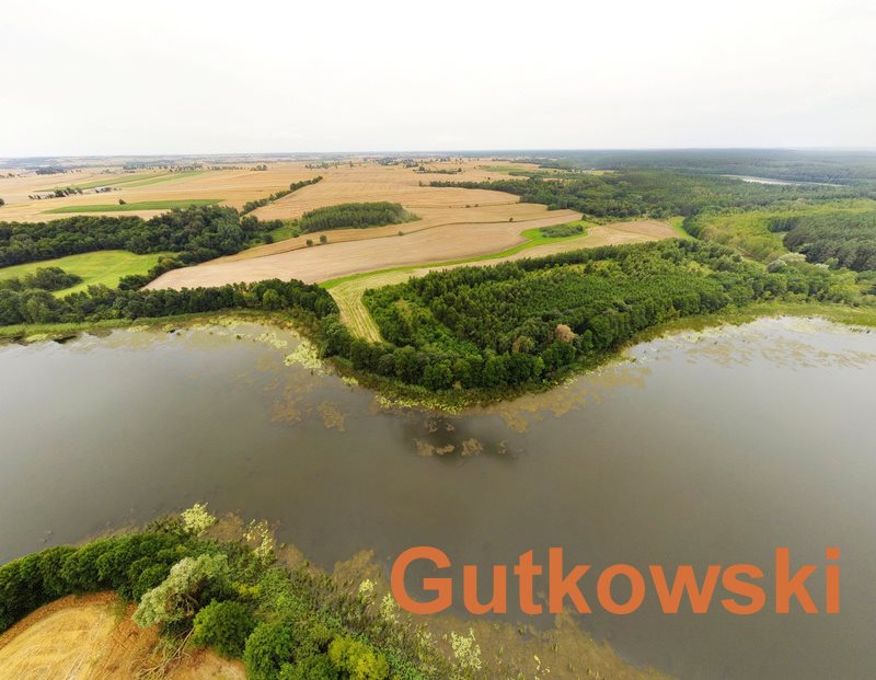 Działka rolna na sprzedaż Lekarty, Gmina Nowe Miasto Lubawskie  9 720m2 Foto 3