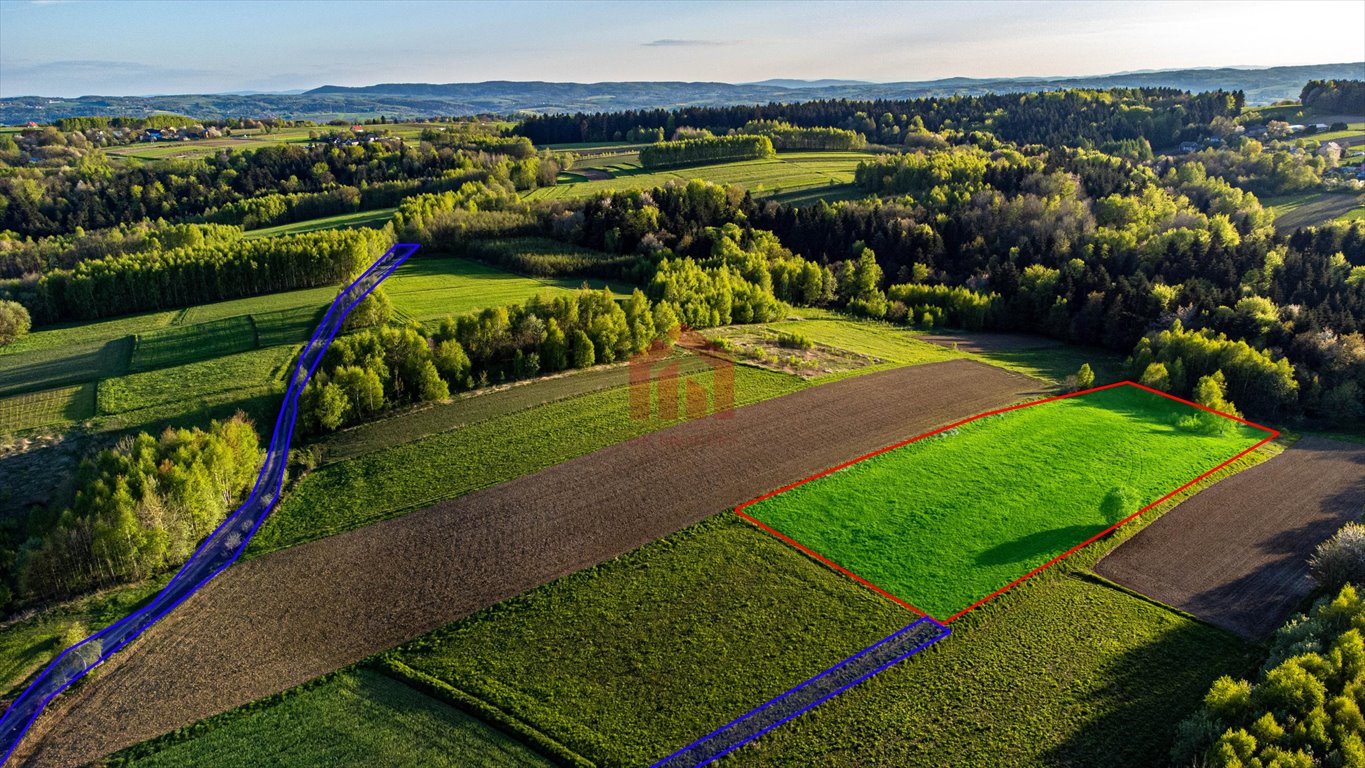 Działka rekreacyjna na sprzedaż Szkodna  4 000m2 Foto 7