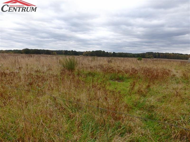 Działka budowlana na sprzedaż Białogard, Buczek Białogardzki  1 142m2 Foto 5