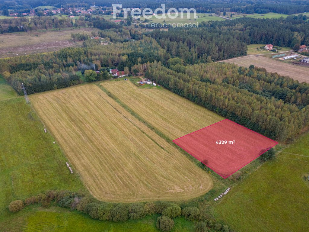 Działka rolna na sprzedaż Wrzesina  4 329m2 Foto 2