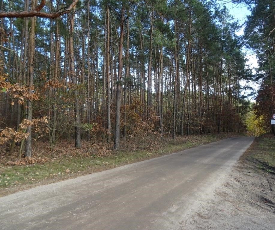 Działka budowlana na sprzedaż Borówiec, Poznańska  1 991m2 Foto 3