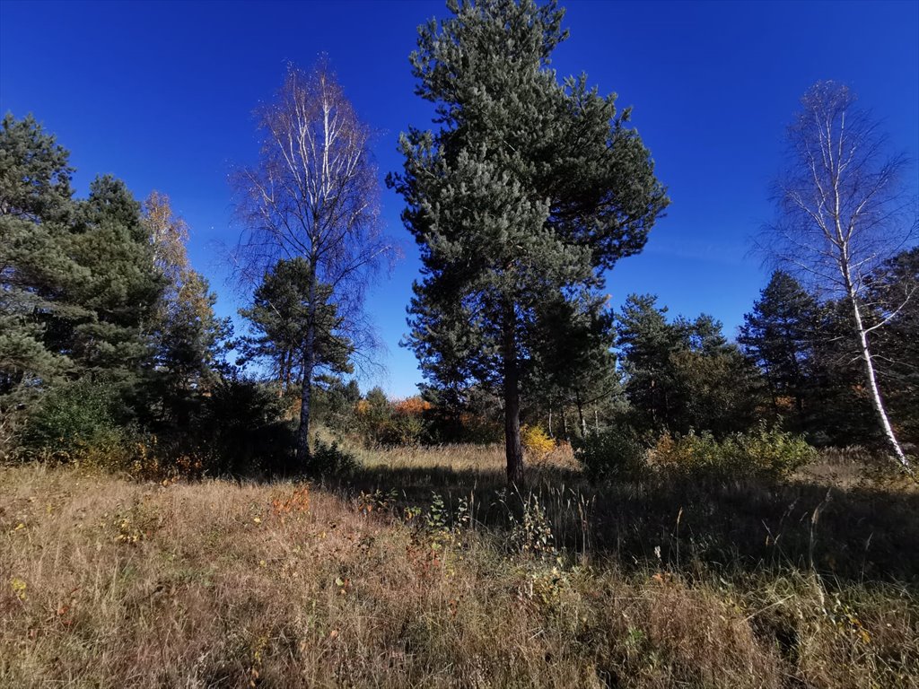 Działka budowlana na sprzedaż Częstochowa, Mirów, Hektarowa  1 089m2 Foto 4