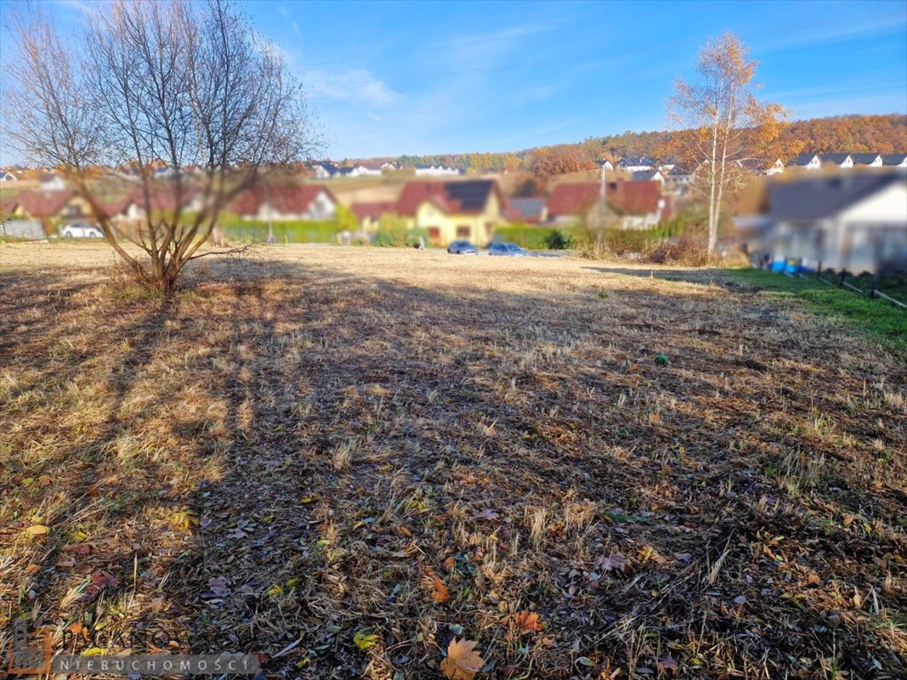 Działka budowlana na sprzedaż Łuczyce  2 400m2 Foto 1