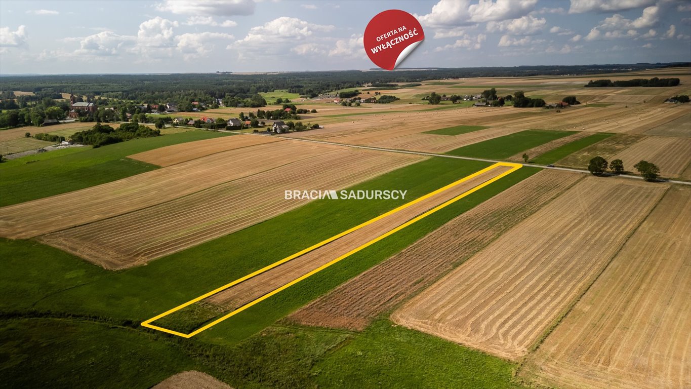 Działka budowlana na sprzedaż Sędziszów, Mstyczów  4 000m2 Foto 6