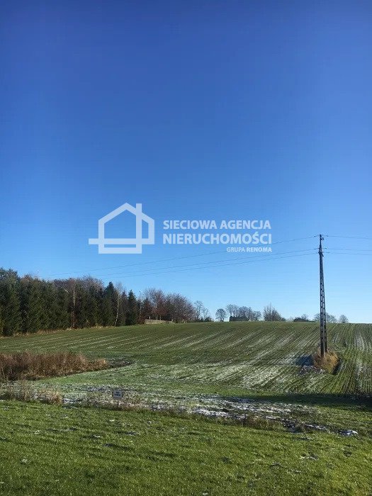 Działka budowlana na sprzedaż Czarna Dąbrówka  10 000m2 Foto 8