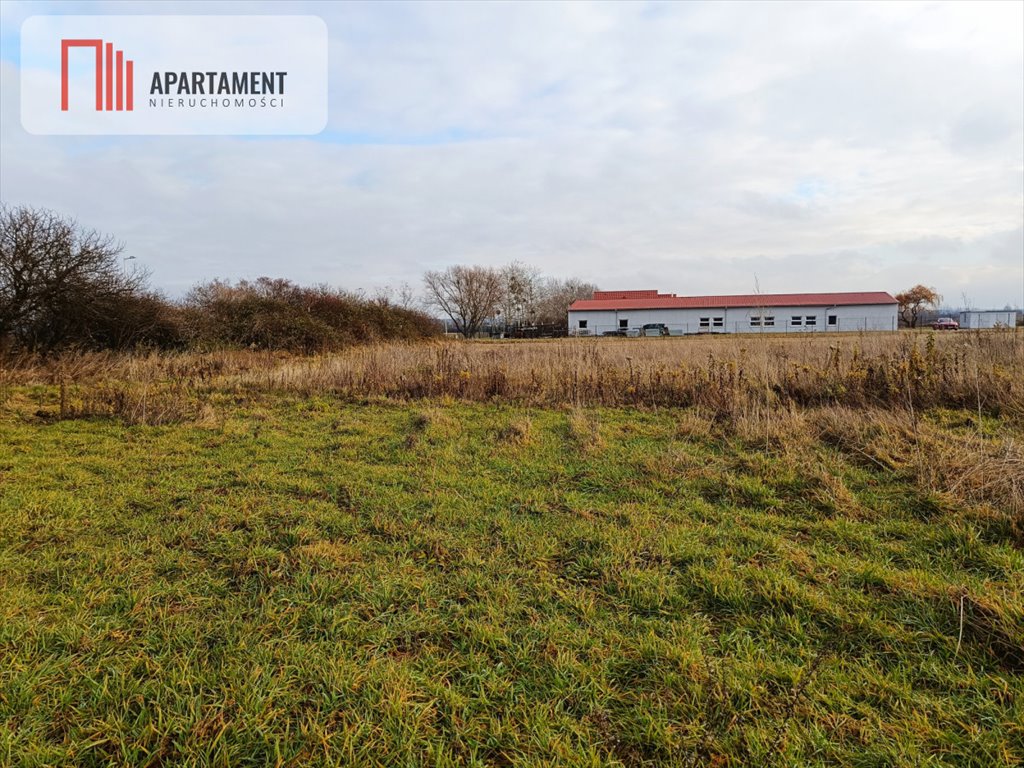 Duża działka 9990 m2 w Brzezinie, media, blisko lasu Brzezina  9 990m2 Foto 1