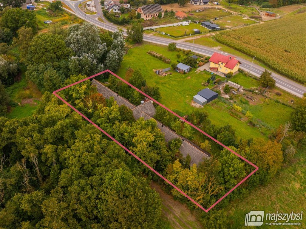 Działka 2920 m2 z budynkami w Golice - potencjał rolniczy. Golice  2 920m2 Foto 1