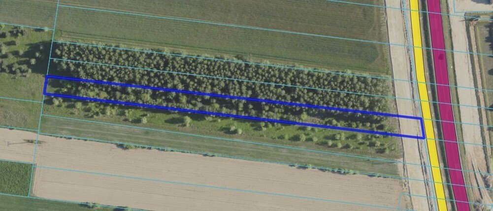 Działka inwestycyjna 40 arów z dostępem do Via Carpatia Skrobów-Kolonia  4 010m2 Foto 1