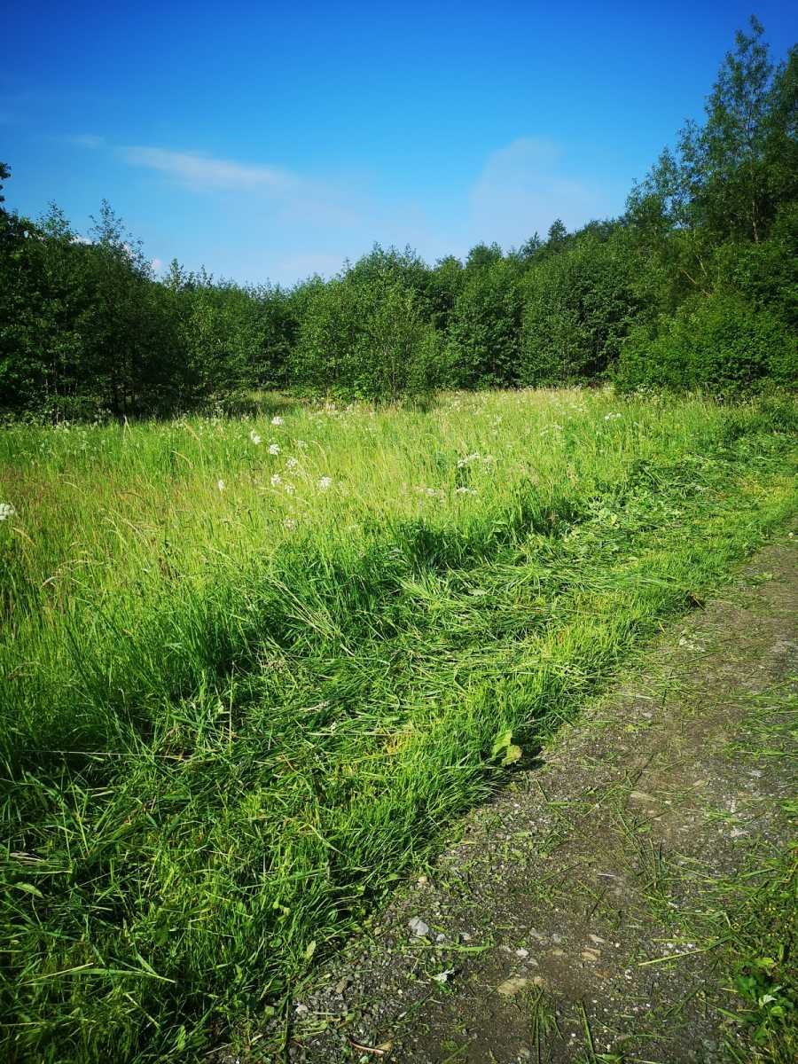 Na sprzedaż widokowa działka 86 arów z rzeką i górami Bystrzyca Kłodzka, Gorzanów  86m2 Foto 1
