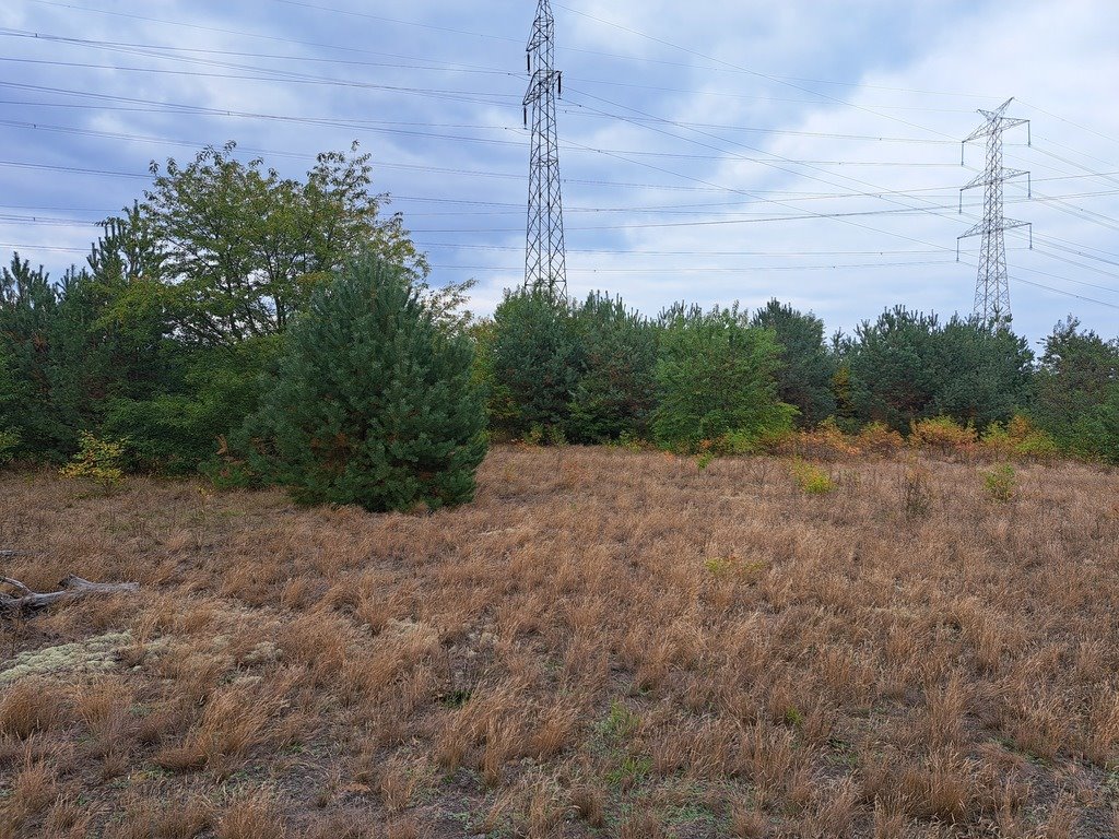 Działka rolna na sprzedaż Olszewka  43 000m2 Foto 10