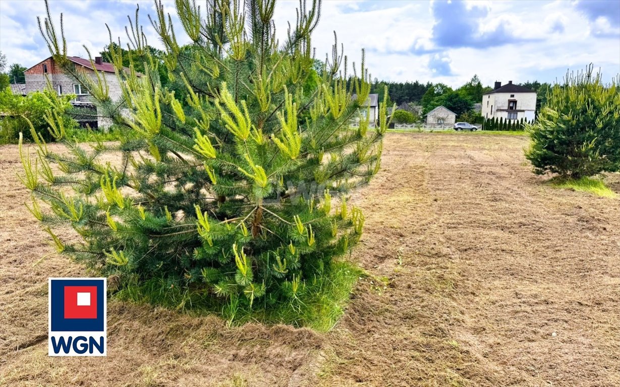 Działka budowlana na sprzedaż Zaborze, Olsztyńska  980m2 Foto 5