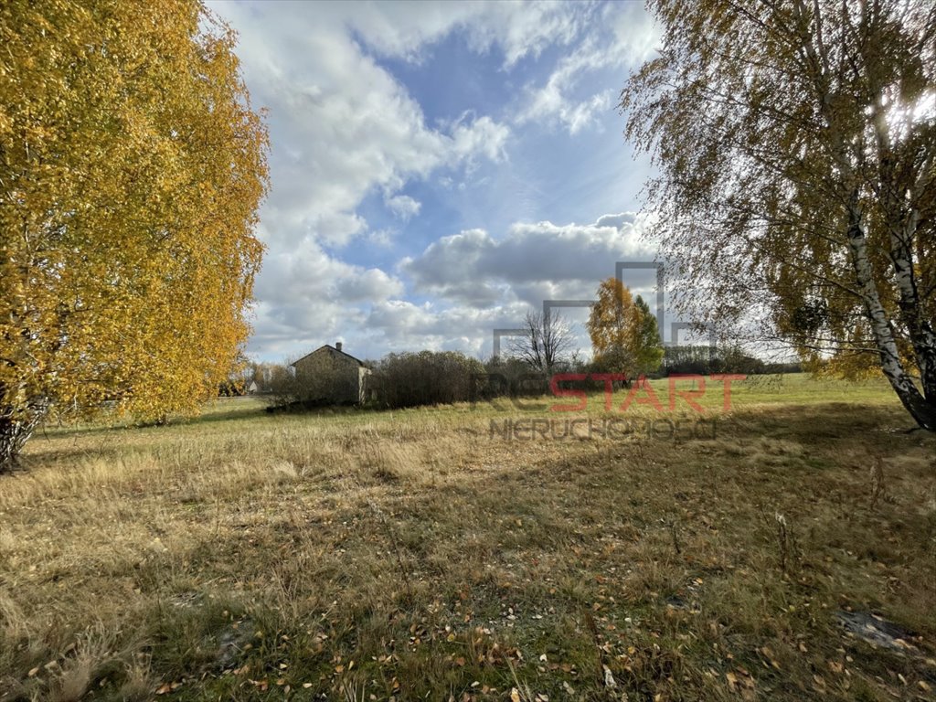 Zdjęcie 4