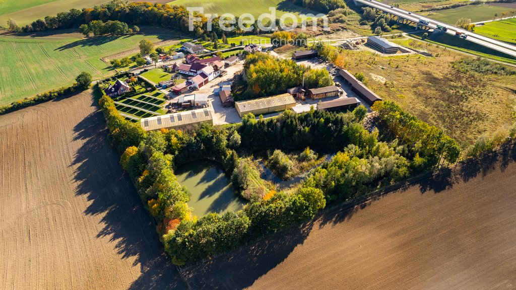 Magazyn na sprzedaż Ulkowy, Kasztanowa  4 835m2 Foto 6