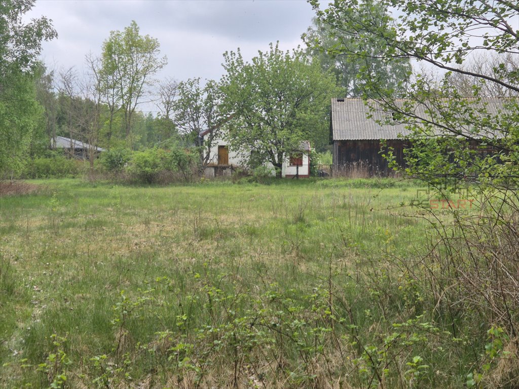 Działka 13 627 m² z mediami i planem zagospodarowania Bolesławek  13 627m2 Foto 1