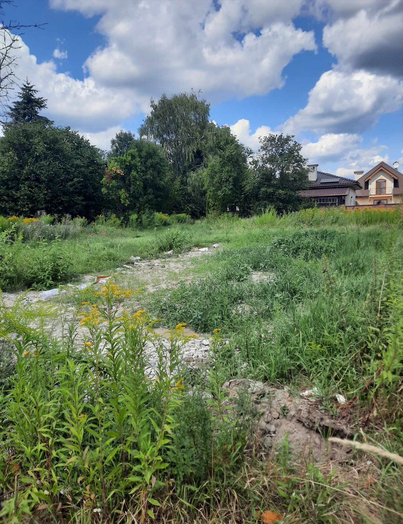 Działka budowlana na sprzedaż Wierzbin, Królowej Marysieńki  2 160m2 Foto 10