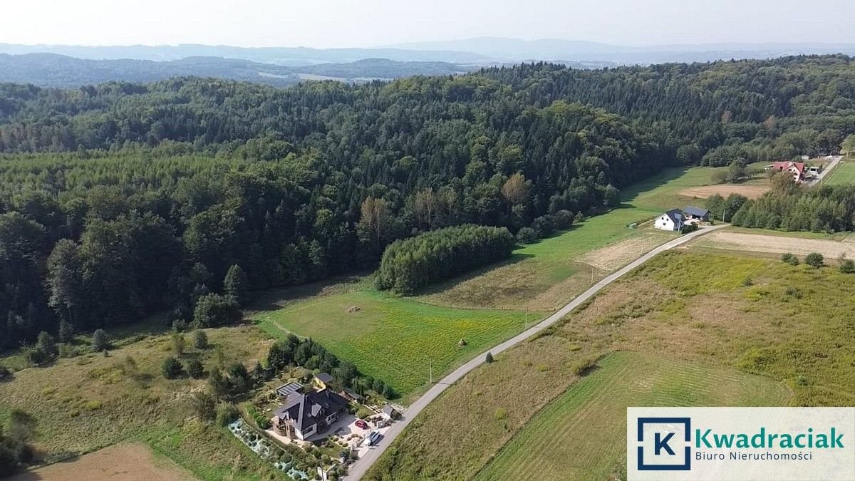 Działka budowlana na sprzedaż Kamienica Górna  5 800m2 Foto 7