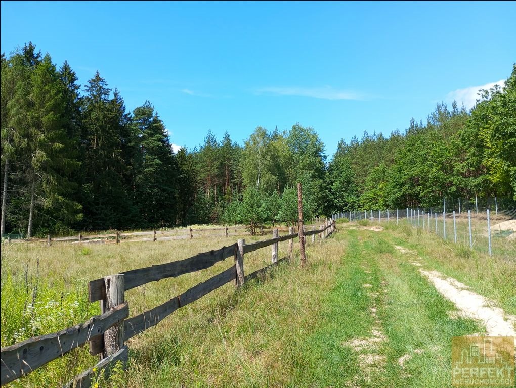 Działka budowlana na sprzedaż Szkotowo, Wieś, Szkotowo  861m2 Foto 2