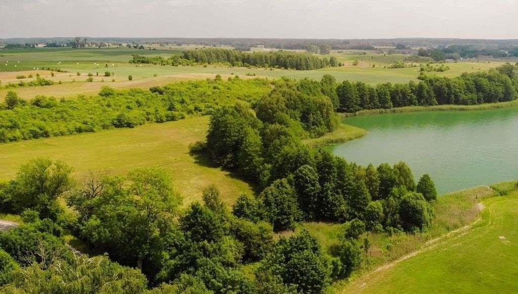 Działka rolna na sprzedaż Nawiady  1 824m2 Foto 9