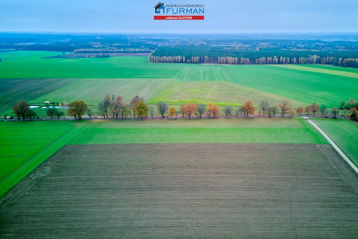 Działka inna na sprzedaż Mały Buczek  1 077m2 Foto 7