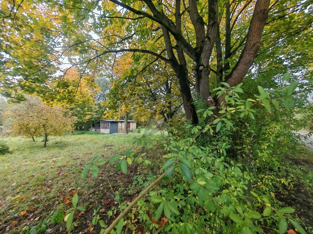 Działka inwestycyjna 5226 m² z lasem i warunkami zabudowy Łódź, Polesie, 1 Korpusu Pancernego WP  5 266m2 Foto 1