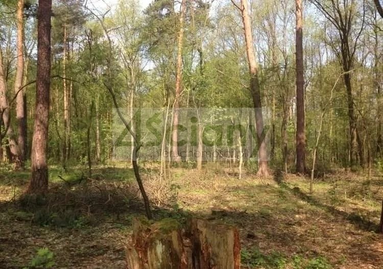 Działka 2315 m² z mediami i nową zabudową w Sękocinie Sękocin-Las  4 630m2 Foto 1