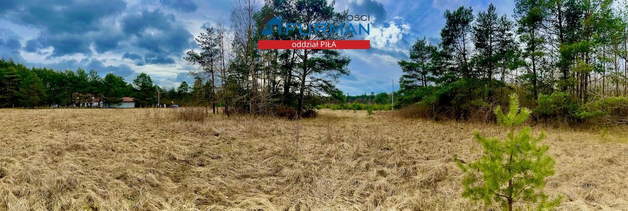 Działka budowlana na sprzedaż Czechyń  1 699m2 Foto 4
