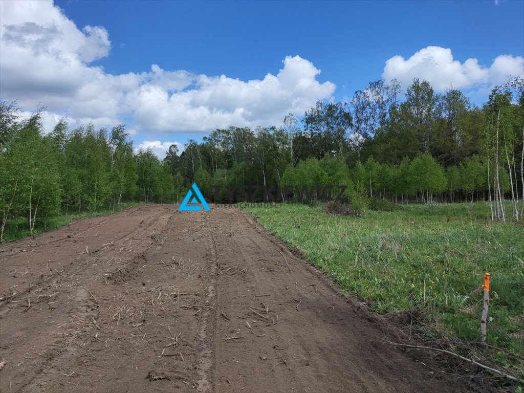 Działka budowlana na sprzedaż Borcz  3 120m2 Foto 1