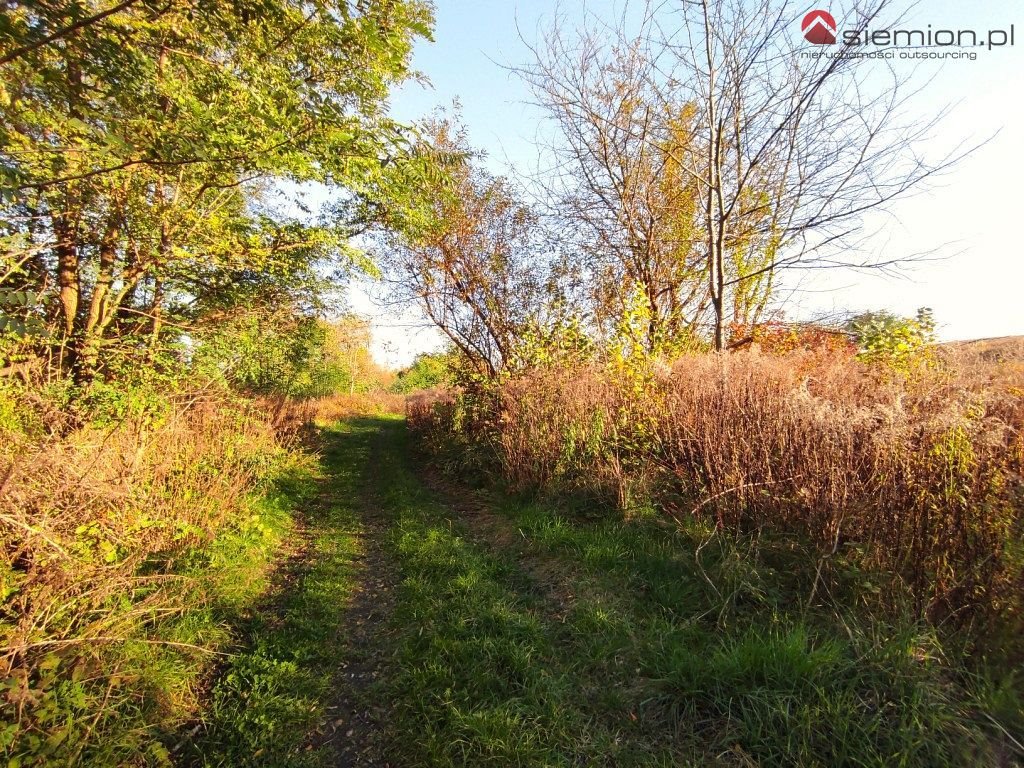 Działka inna na sprzedaż Wojkowice  1 191m2 Foto 3