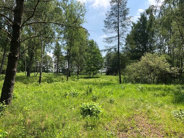 Działka inna na sprzedaż Kamień, Jarzębia 6 800m2 Foto 1 Działka inna na sprzedaż Kamień, Jarzębia 6 800m2 Foto 1