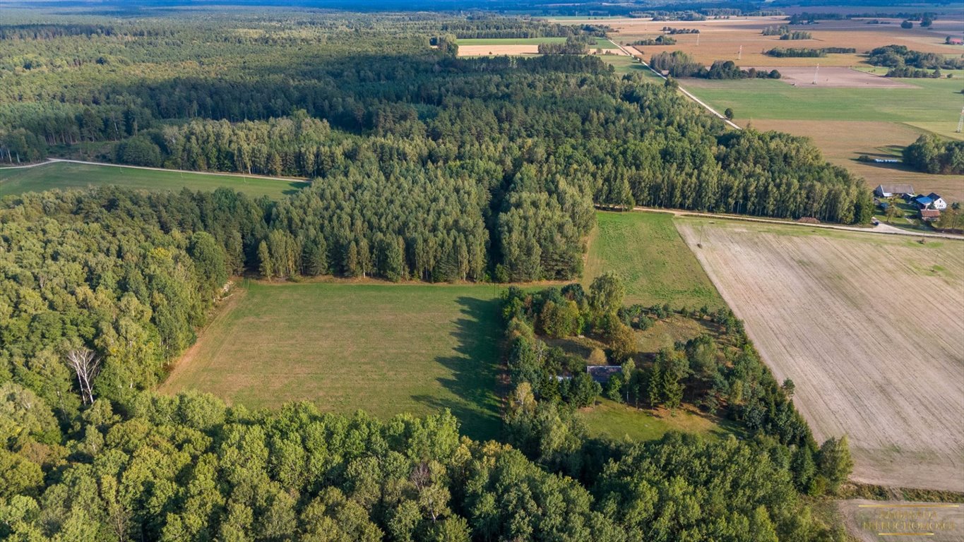 Działka rolna na sprzedaż Folwarki Małe  14 250m2 Foto 4