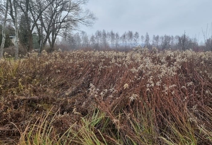 Działka inna na sprzedaż Kraków, Dębniki, Tyniec, Dąbrowa  4 200m2 Foto 2