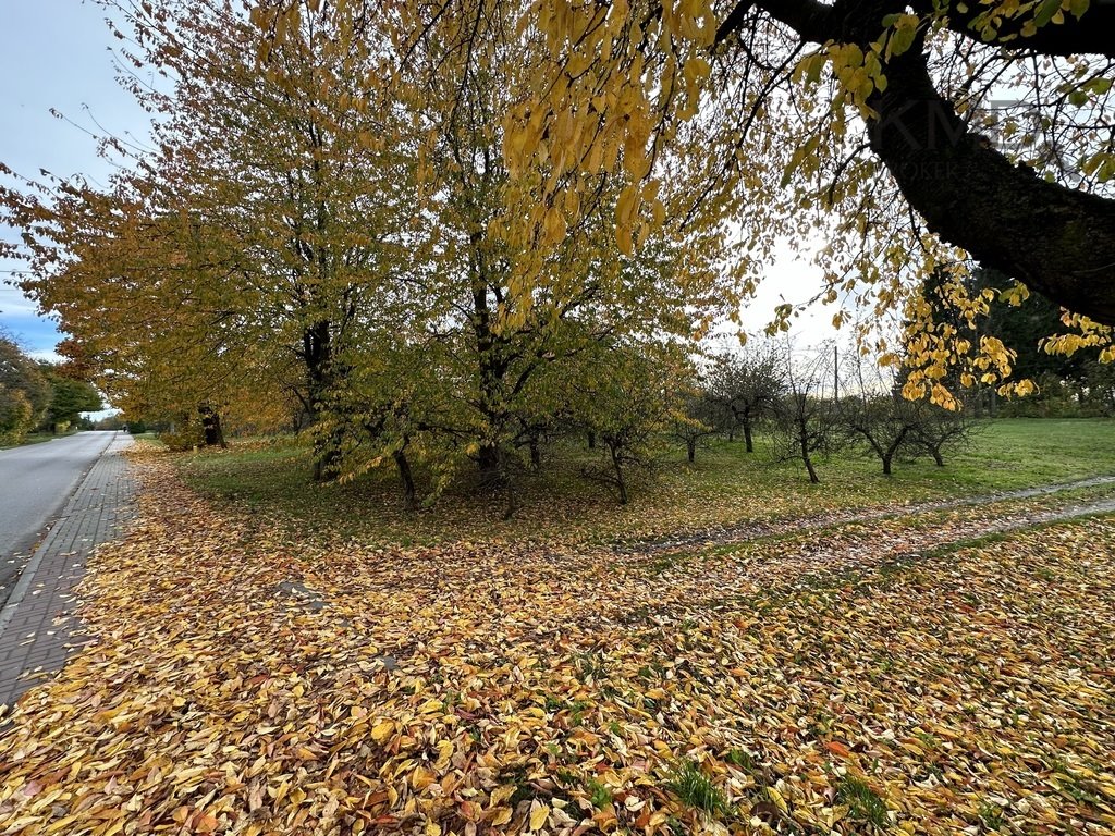 Działka budowlana na sprzedaż Motycz  1 377m2 Foto 6