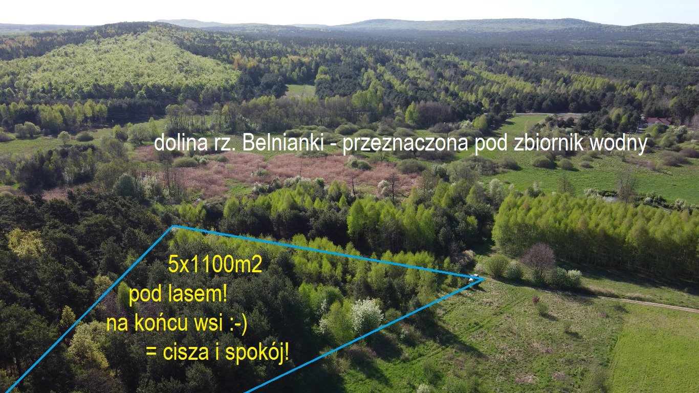 Działka budowlana na sprzedaż Daleszyce  1 109m2 Foto 6