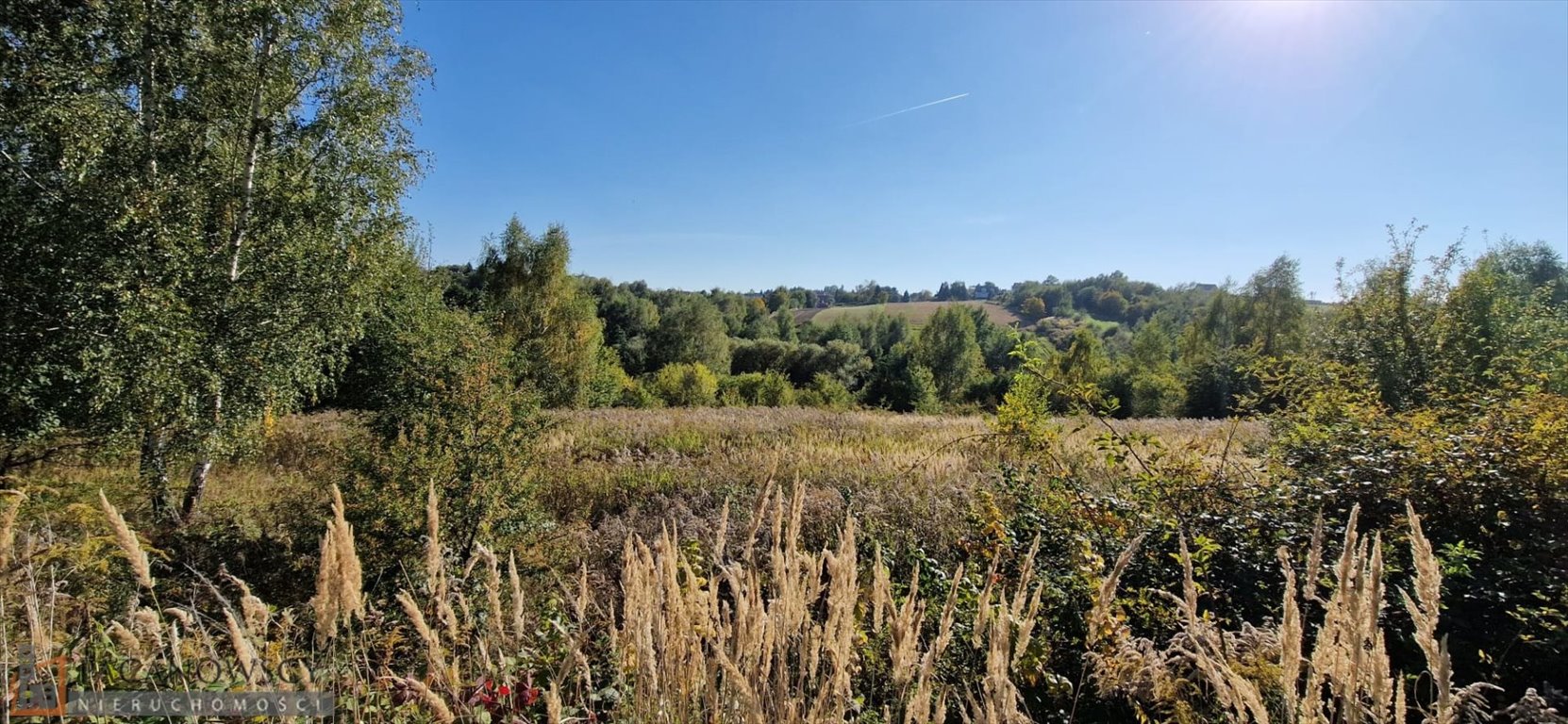 Działka rolna 1,89 ha w Białym Kościele - polecam Biały Kościół  18 976m2 Foto 1