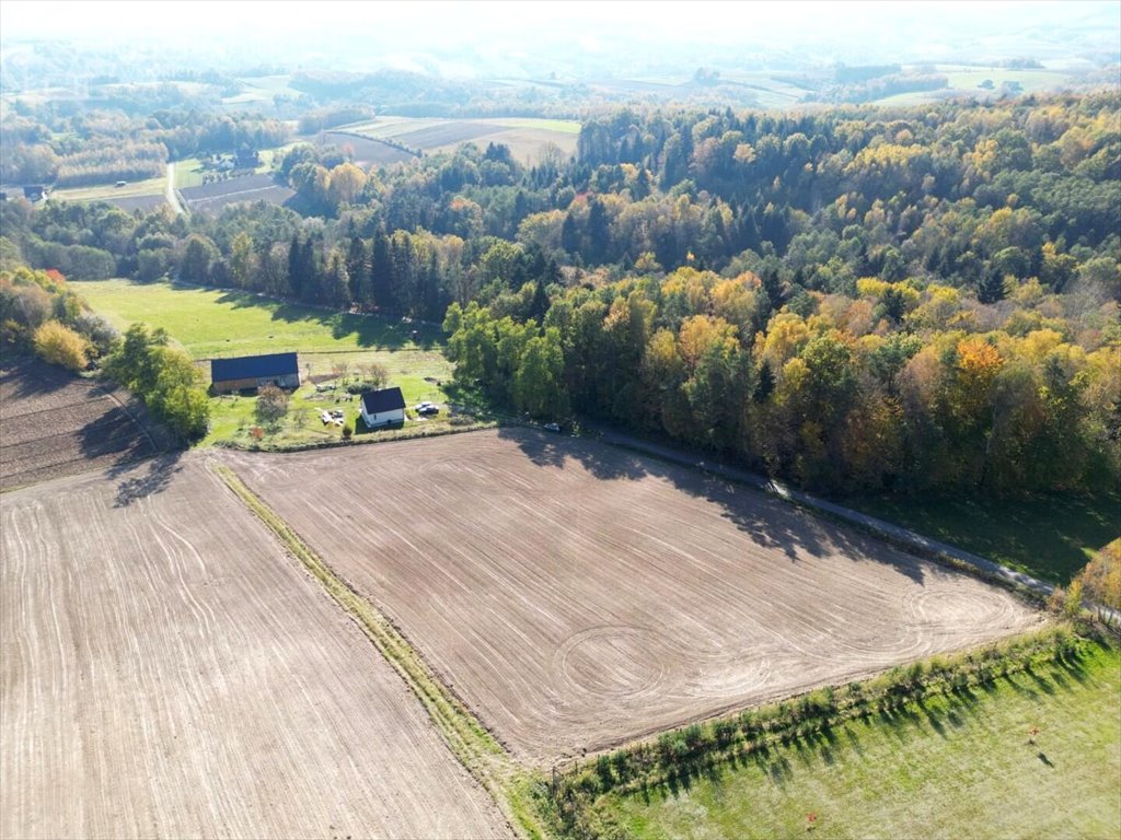 Działka budowlana na sprzedaż Błażkowa  2 200m2 Foto 13